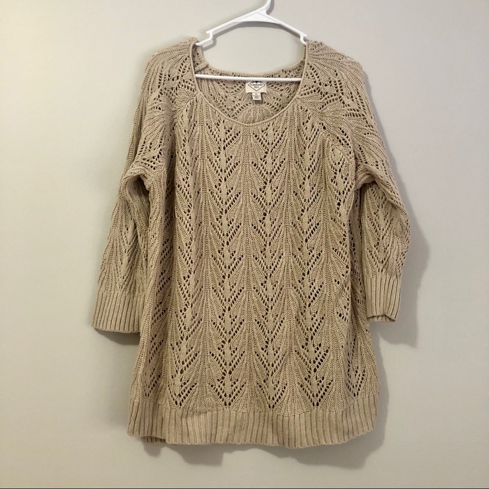 Cozy Tan Sweater